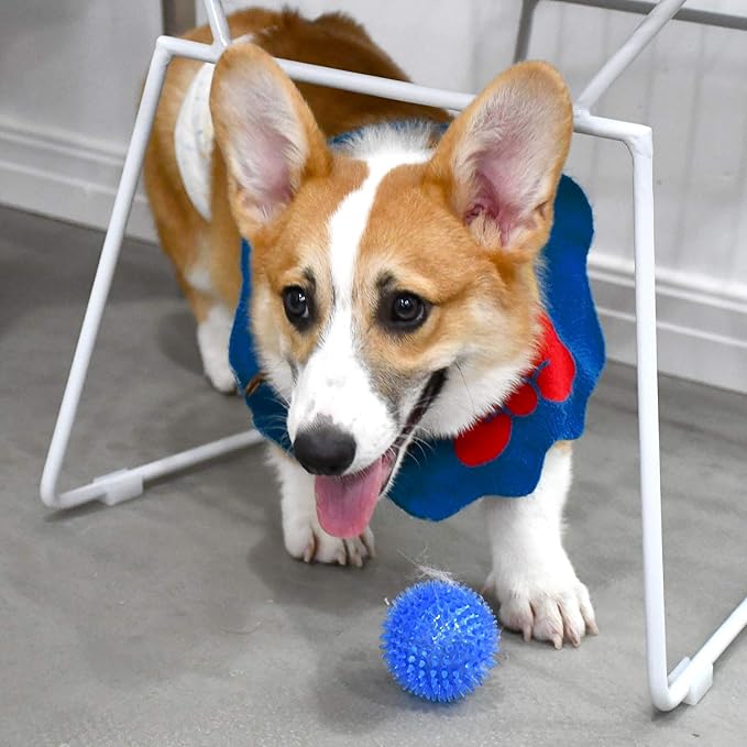 SHARLOVY Squeaky Balls for Pet Small Puppy, 6 Pack TPR Fetch Spike Balls for Dogs, Rubber 6 Pack Bright Colors Chew Teething Dog Toys, for Clean Teeth and Training, for Puppy Chew and Teething