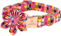 Lionheart glory Easter Dog Collar with Flower Carrot Print Dog Collar Girl or Boy Soft Durable Adjustable Collar Flower Spring Collar Dog Bow for Large Dogs