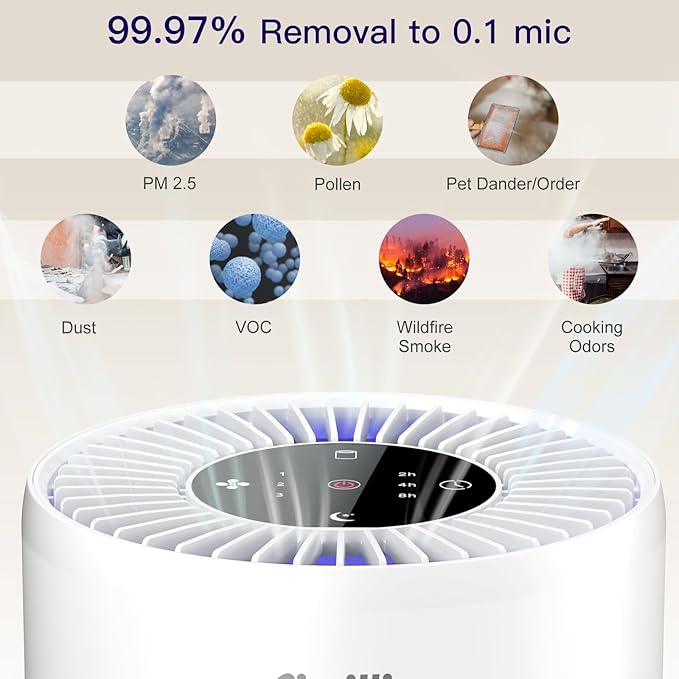 2 Pack Air Purifiers for Bedroom H13 True HEPA Air Filter Cleaner, Odor Eliminator, Remove Smoke Dust Pollen Pet Dander, Night Light For Home Living Room Dorm, Quiet 24dB Filtration System
