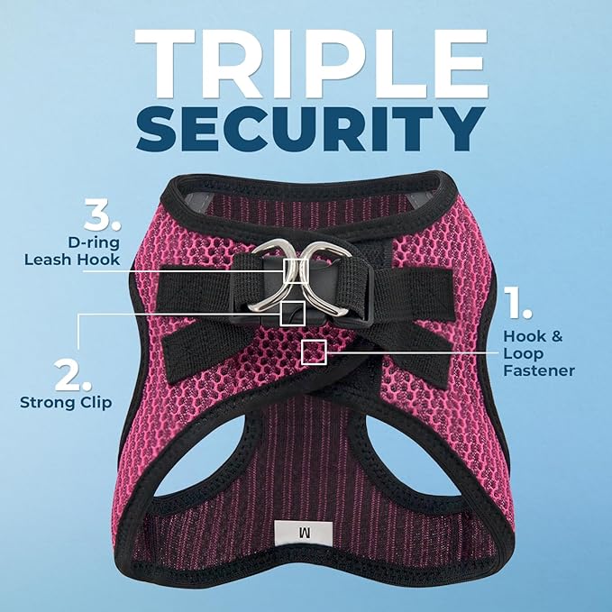 Best Pet Supplies Voyager Step-in Air Harness - All Weather Mesh, Reflective, No Pull Harness for Dogs, Cats - Secure with Hook & Loop Fastener, Buckle, Double D-Rings - Fuchsia 2-Tone, XS