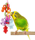 Hypeety Bird Parrot Foot Toy Chewing Swing Bite Toy Plastic Parrot Toys Bird Toys Macaw Toys for Lovebirds Conures Caiques Sun Parakeet Cockatiel Budgie