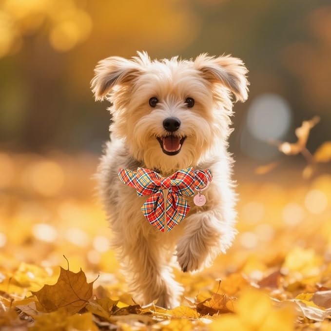 Autumn Plaid Dog Collar and Bow Tie Set – Orange Yellow Checkered Adjustable Fall Collar with Maple Leaf Charm for Small Medium Large Dogs, Soft Cotton Pet Collars with Buckle and D-Ring