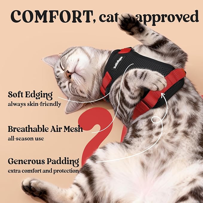 rabbitgoo Cat Harness and Leash for Walking, Escape Proof Soft Adjustable Vest Harnesses for Cats, Easy Control Breathable Reflective Strips Jacket, Black & Red, XXS
