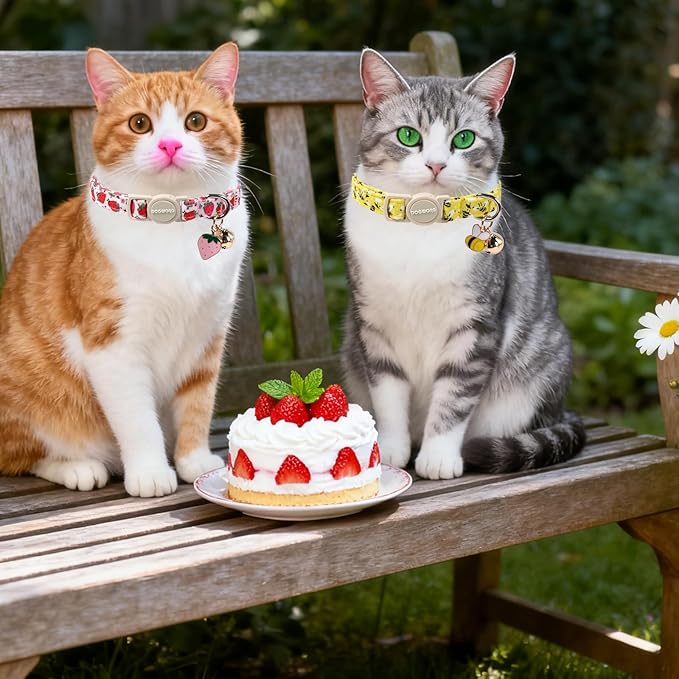 2 Pack Bee Cat Collars Breakaway with Bell, DOGWONG Safety Buckle Cute Strawberry Cat Collar for Girl Boy Cats，Adjustable 7-12 Inch