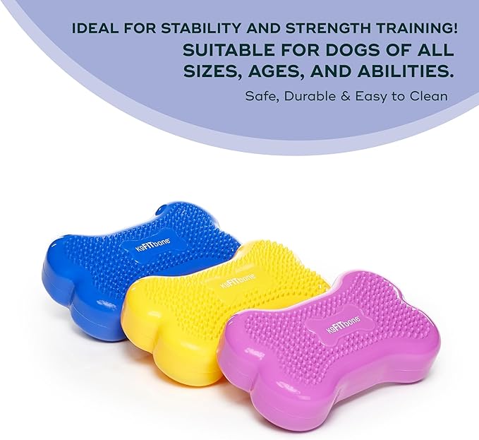FitPAWS® K9FITbone® - Mini, Razzleberry (Set of 2) | Dog Balance Training Platform & Exercise Equipment | Workout Tool for Strength, Core & Stability