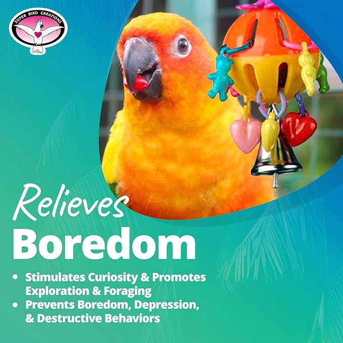 Super Bird Creations SB1086 Having a Ball Bird Toy for for Parrotlets, Parakeets, Cockatiels, Lovebirds, Ringnecks - Multi-Colored Rattle Ball, Cute Charms - Small/Medium Bird Size, 6" x 2" x 2"