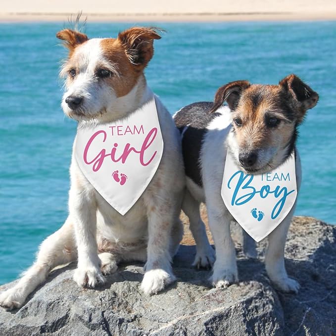 2 Packs Team Girl Team Boy Gender Reveal Baby Announcement Dog Bandana Pet Pregnancy Announcement Pink and Blue Dog Triangle Scarf Accessories for Small Medium Large Dogs Cats