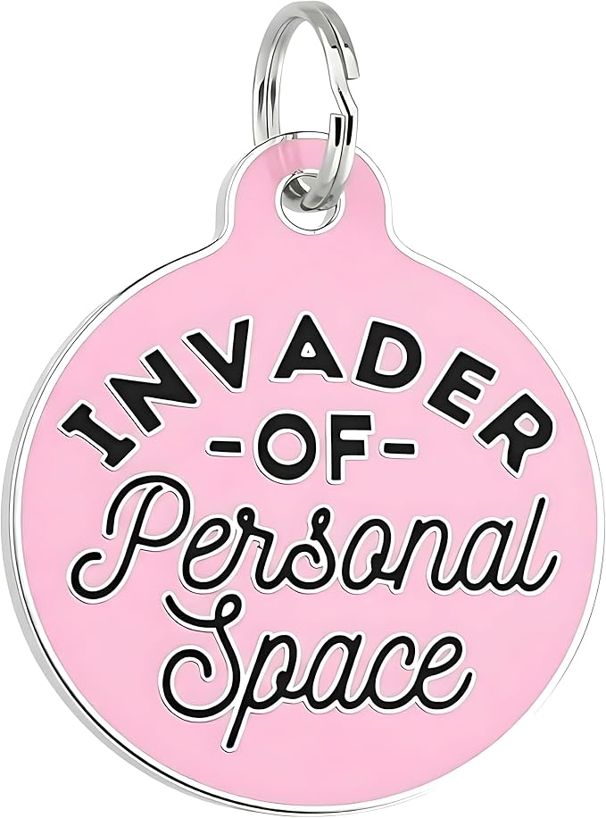 Bad Tags Personalized Dog and Cat ID Tags in 25+ Designs and 2 Sizes - 5 Lines of Custom Engraved Text - Funny Cute Personalized Pet Tags (Invader of Personal Space - Pink, Small (1 inch))