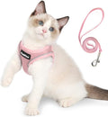 PetiFine Extra Small Step in Dog Harness and Leash Set, Cat Harness and Leash Escape Proof, All Weather Mesh Reflective, Step-in Air Vest Harnesses for Puppy(XXXS, Pink)