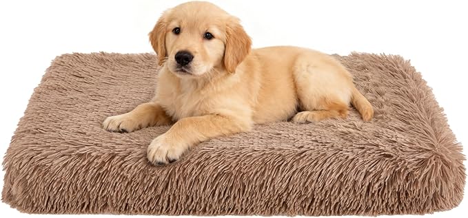 Fluffy Orthopedic Dog Beds for Puppy/Cats with Washable Removable Cover Dog Crate Bed Egg Crate Foam Support Plush Pet Pad Mat with Anti-Slip Bottom (24 * 16,Khaki)