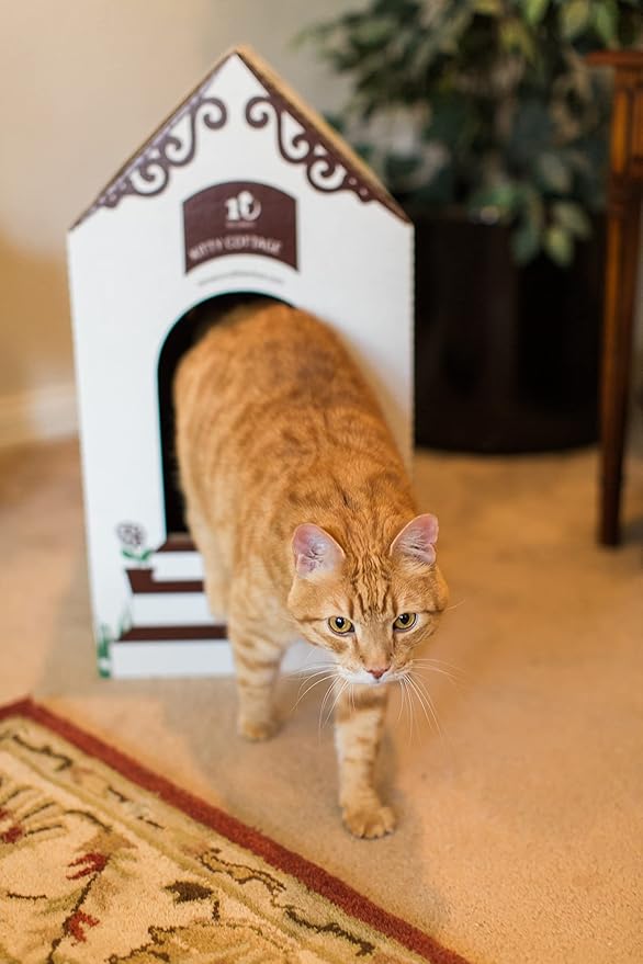 Disposable Ten Second Litter Boxes for Kitty/Cats. Made in The USA. Biodegradable Solution for Quick and Easy Disposal. Made of Recyclable Material. (8-Pack + Cottage)