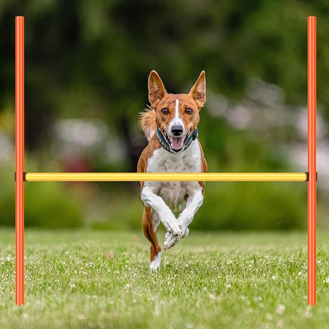 8 Set Dog Agility Jump Adjustable Dog Agility Hurdle Training Equipment Portable Jumper Hurdle Park Indoor Outdoor Exercise Tool 3.44ft High/ 2.95ft Wide(Orange and Yellow)
