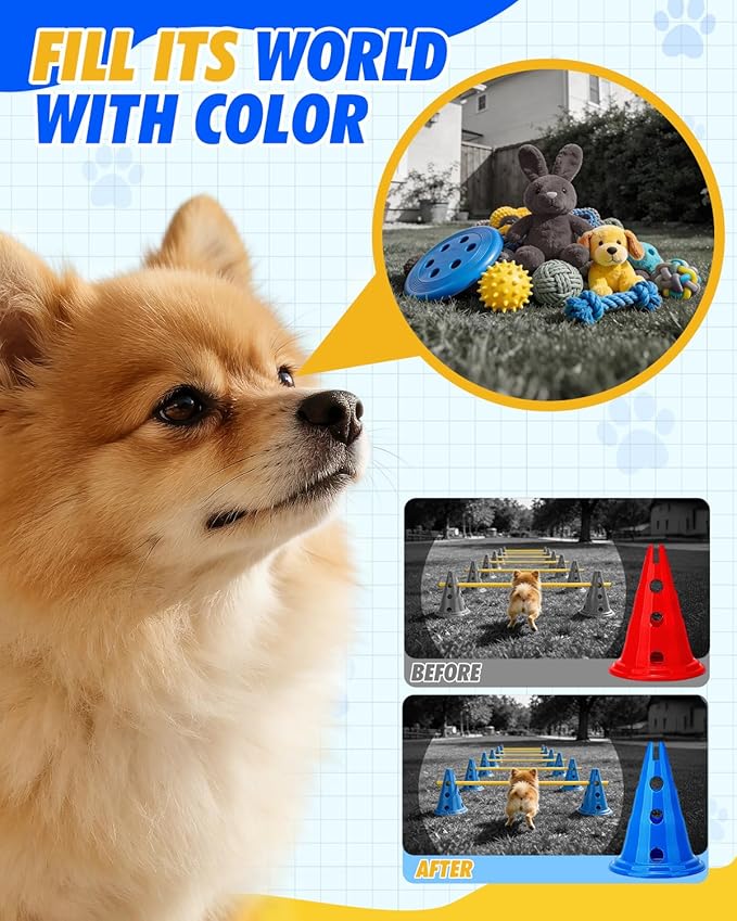 Dog Agility Hurdle Cone Set, Dog Agility Course Backyard Set with Height Adjustable Crossbar for Rehabilitation & Beginners, Dog Agility Equipment for Dog Obstacle Course Training Starter - 12 Inch