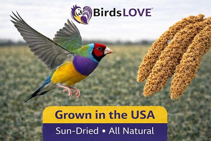 Birds LOVE Millet Tips & Tails for Birds - Parakeets, Cockatiels, Lovebirds, Finches, Budgies, Canaries, Cockatoos - Natural & Healthy Millet for Birds - Parakeet Food & Treats for All Parrots, 1lb