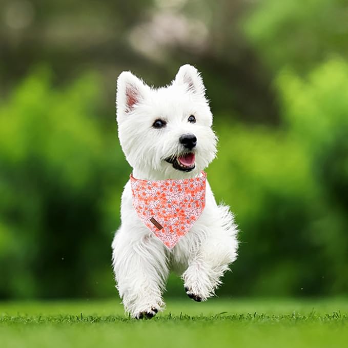 Summer Dog Bandana, UP URARA PUP Orange Bandana for Small Large Dogs, Cotton Handkerchief Cute Flower Puppy Triangle Bid Scarf for Boy Girl Dogs