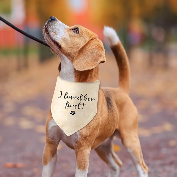 Engagement Gifts I Loved her First! Dog Bandana Pet Scarf Wedding Photo Prop Pet Accessories for Dog Lovers Owner Gift Engagement Party Bridal Shower Decorations
