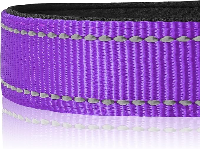Joytale Reflective Dog Collar, Soft Neoprene Padded, Metal D-Ring, Nylon Pet Collar Adjustable for Extra Large Dogs, Purple, XL