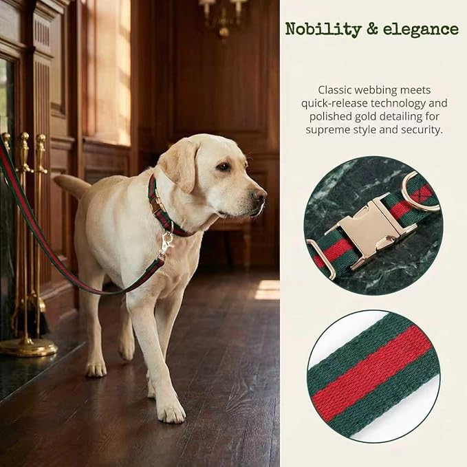 Premium Dog Collar, Cute Dog Collars Luxury Style, Durable Pet Collars and Dog Leash with Metal Buckle Safety for Puppy Small Dogs