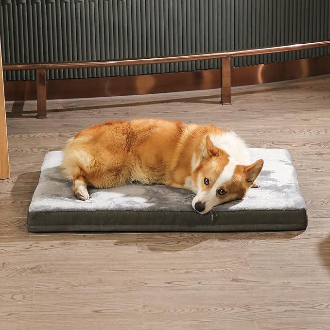 Amazon Basics Washable Dog Bed with Cooling Gel Memory Foam, Pressure-Relief Support for Dogs up to 120lbs, Non-Slip Bottom, Removable Cover, Giant Sized (50" x 34"), Grey