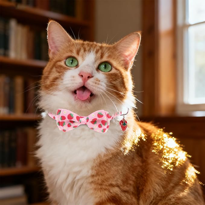 Breakaway Cat Collar with Removable Bow Tie and Bell, Cute Multi-Style Patterns, 3 Pack Safety Buckle Kitten Collars, Adjustable Pet Collar for Cats Puppy (Style B - Fruit)