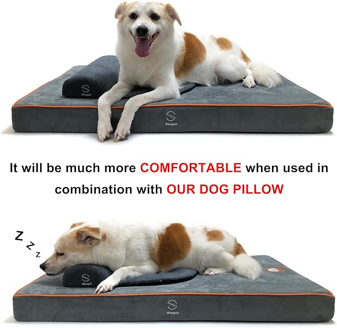 Hard-Wearing Orthopedic Dog Bed for Crate, 23x16 Inch, Made of Memory and HR Foam, Two-Sided Use, Providing Soft and Relatively Hard Support, with an Extra Inner Waterproof Protector (Gray)