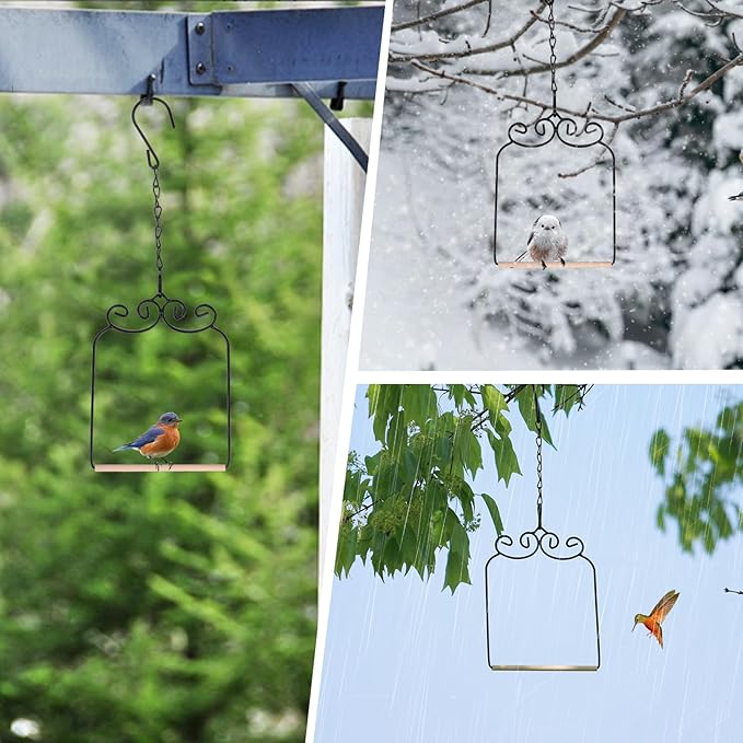 3PK Metal Frame Hummingbird Swings and Perches with Wooden Dowel Black Bird Swing Outdoor Bird Perch Humming Bird Swing (3PK)