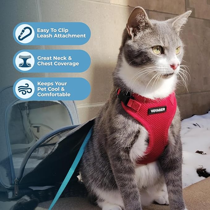 Voyager Escape-Proof Step-in Lock Cat Harness & 5ft Neoprene-Handle Leash Set All-Weather Mesh with Reflective Stitching for Small to Large Cats by Best Pet Supplies, Red, XS