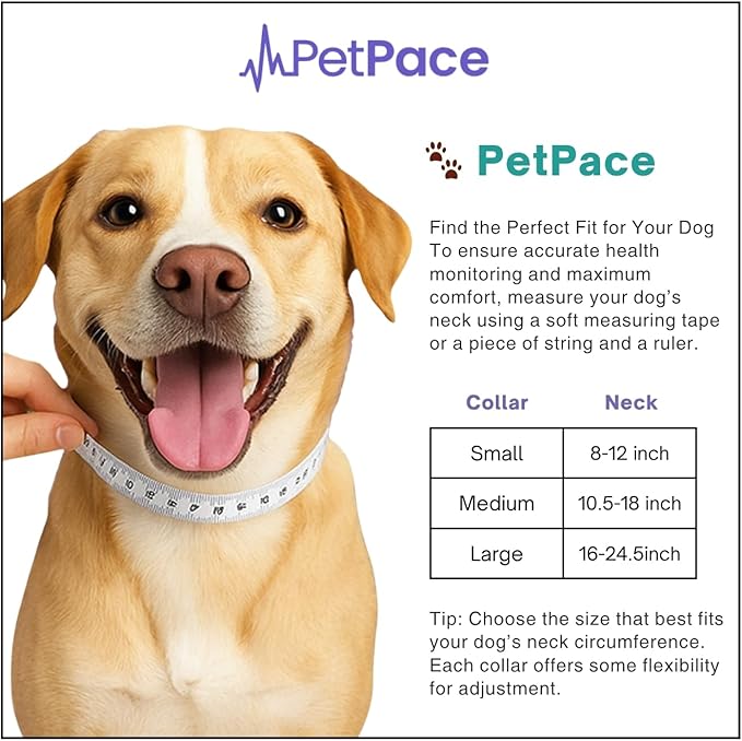 V3.0 Dog Health Monitor – AI Health Collar with 24/7 Vital Signs Tracks Pain GPS, Telehealth AskaVet & Share with Your Vet & Apple Watch Sync – Subscription Required (Medium)