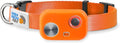MS-5 Automatic Pet Door Collar by High Tech Pet, Genuine Dog Collar for Power Pet Doors - Deluxe Strap (Orange, Medium) - DC-ORANGE-MS5-M
