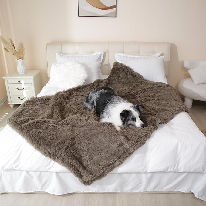 gogobunny Waterproof Dog Blanket for Couch & Furniture Protection - Super Soft Reversible Throw for Large Dogs & Cats, Calming Washable Fur & Sherpa Pet Blanket (60x80 Inch, Stone)