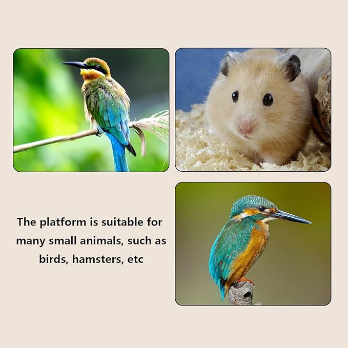 2Pcs Solid Wood Parrot Stand and Small Animal Climbing Platform
