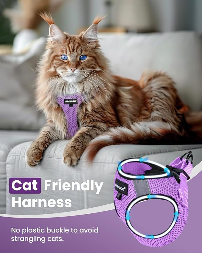 FAYOGOO Cat Harness, Cat Leash and Harness Set for Walking Escape Proof, Harness for Small Cats/Small Dogs, Large Kitten/Puppy Harness and Leash, Harness for Cats S-XXL(Modern Violet, XX-Large)