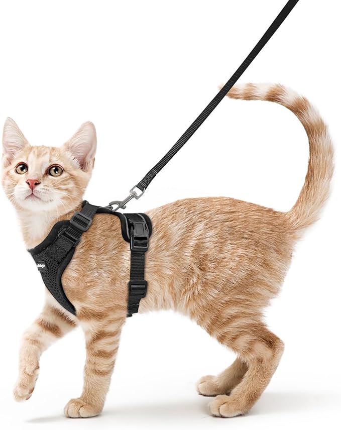 rabbitgoo Cat Harness and Leash for Walking, Escape Proof Soft Adjustable Vest Harnesses for Cats, Easy Control Breathable Reflective Strips Jacket, Black, XS