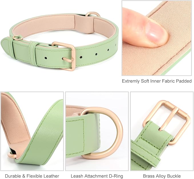 WHIPPY Leather Dog Collar for Small Medium Large Dog Adjustable Soft Breathable Leather Padded Puppy Collar with Alloy Buckle Heavy Duty Waterproof Classic Dog Pet Collar,Green,S