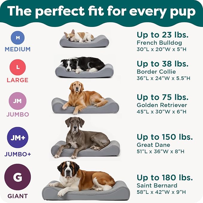 FurHaven Orthopedic Dog Bed for Medium Dogs, Luxe Lounger Contour Mattress with Solid Orthopedic Foam Slab for Joint Support, Removable Washable Cover, Medium, Faux Fur & Suede, Gray