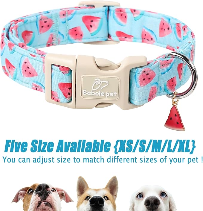 Adjustable Summer Dog Collar, Cute Watermelon Dog Collars for Puppy Small Dogs, Lightweight Quick-Release Buckle Collar for Boy&Girl Dogs XS