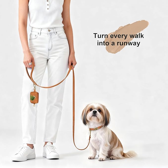 Didog Soft PU Leather Dog Collar, Stylish Quick Released Dog Collars for Small Dogs, Easy Clean Adjustable Pet Collar for Daily Walking, Light Brown, S Fit 10-16" Neck