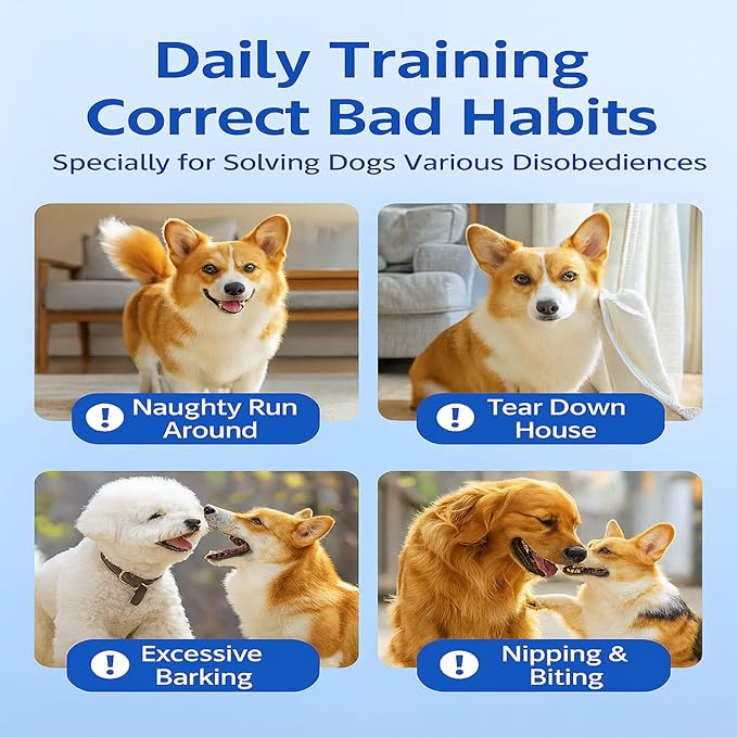 Dog Training Stick for Puppies and Dogs, Flexible Exercise Stick, Obedience Training Tool