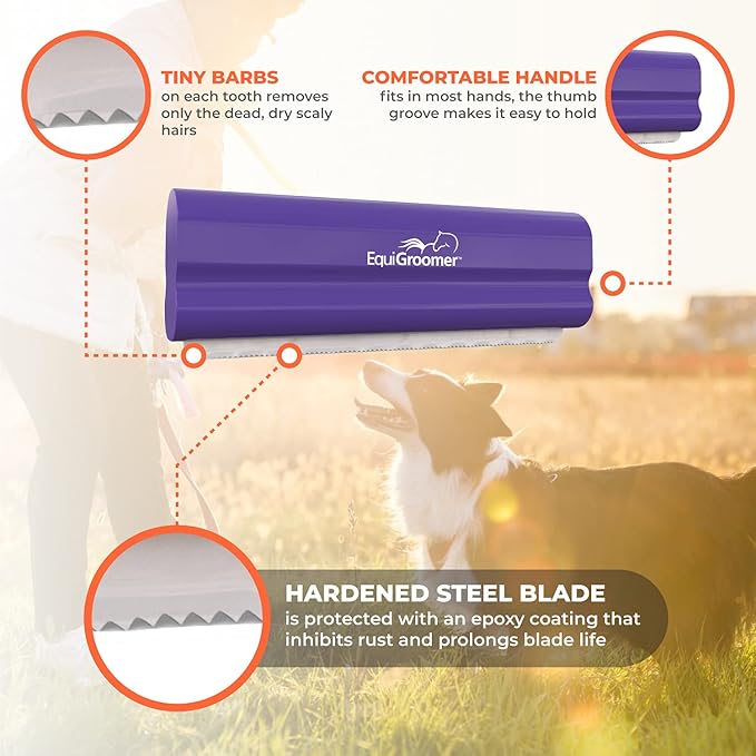 EasyGroomer Deshedding Brush for Dogs & Cats – Undercoat Grooming Tool for Short & Long Hair, Removes Loose Fur & Dirt, Reduces Shedding for Small & Large Pets, Purple
