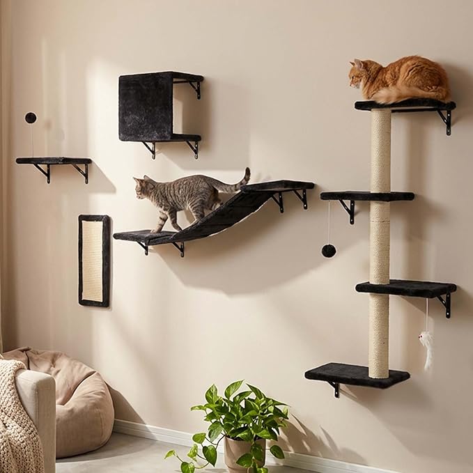 ANWA 5-in-1 Cat Wall Shelves with Scratching Posts & Cozy Condo, Space-Saving Cat Wall Furniture with Scratcher, Multi-Level Cat Wall Climber with Floating Shelves for Indoor Cats, Dark Gray