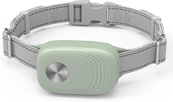 Automatic Pet Door Collar - Compatible with High Tech Pet Doors (Replaces MS-4, MS-5), Purple and Green, 2PK