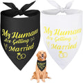SZEE Wedding Decorations for Pets, 2 Pack My Humans are Getting Married Dog Bandanas, Engagement Party Decorations, Wedding or Engagement Gift for Couples, Dog Wedding Bandanas (Gold, XL)