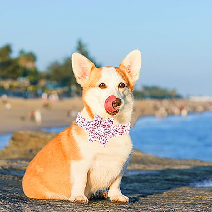 Lionheart Glory Shark Print Pink Collar - Adjustable Soft Dog Collar for Large Dogs
