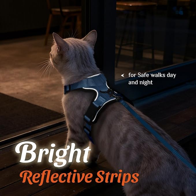 Dooradar Cat Harness and Leash Set, Escape Proof Safe Adjustable Kitten Vest Harnesses for Walking, Easy Control Soft Breathable Mesh Jacket with Reflective Strips for Cats, Light Blue, M