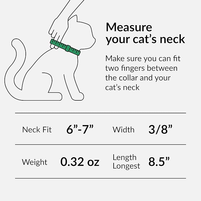 CollarDirect Leather Cat Collar with Bell - Kitten Collar, Small and Big Cat Collar for Boy Cats, Girl Cats with Safety Elastic Strap (Neck Fit 6"-7", Pink)