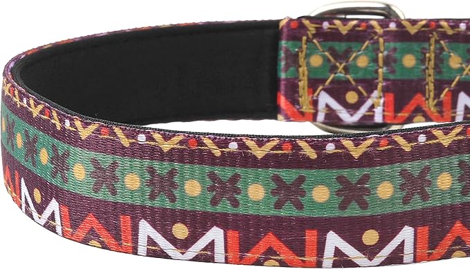 Reflective Dog Collar, Adjustable Soft Neoprene Padded Nylon Pet Collars with Buckle for Puppy and Small Dogs, Cats, Retro Geometric Flowers,M