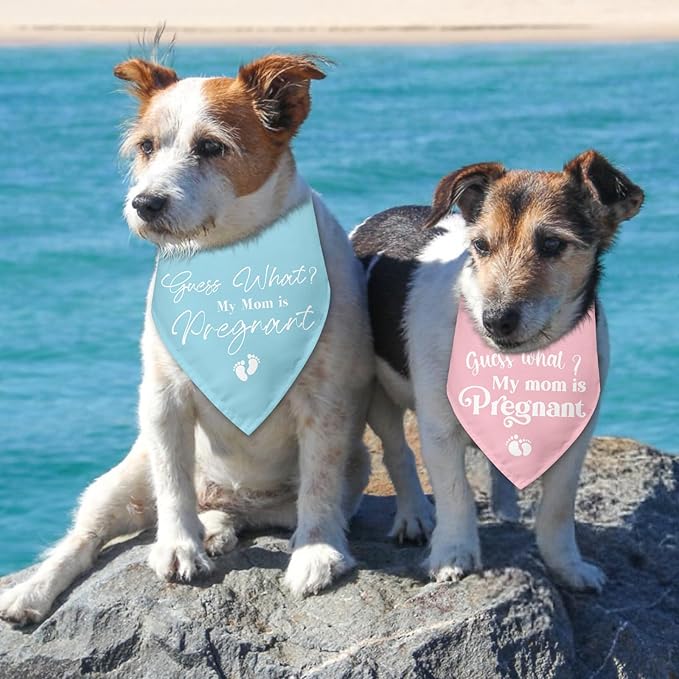 2 Packs Baby Announcements Ideas Guess What? My Mom is Pregnant Pregnancy Announcement Dog Bandana Gender Reveal Pet Dog Triangle Scarf Accessories for Small Medium Large Dogs Cats