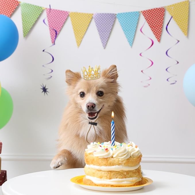 Abbylike Pet Rhinestone King Crown Small Size, Queen Crown for Halloween Costume for Small Dog Cat Cosplay Party Accessories Adoption Celebration Wedding Birthday Photos Prop Costume