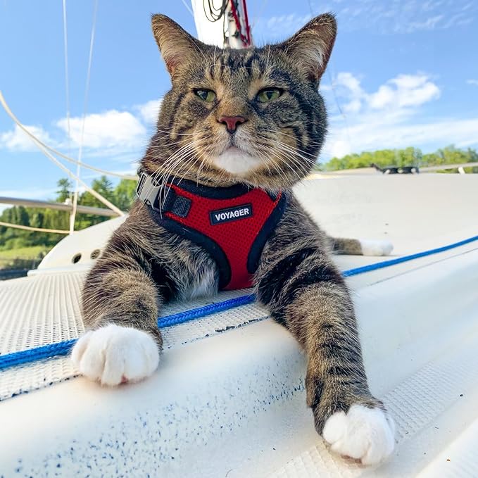 Voyager Escape-Proof Step-in Lock Cat Harness & 5ft Neoprene-Handle Leash Set All-Weather Mesh with Reflective Stitching for Small to Large Cats by Best Pet Supplies, Red/Black Trim, XS