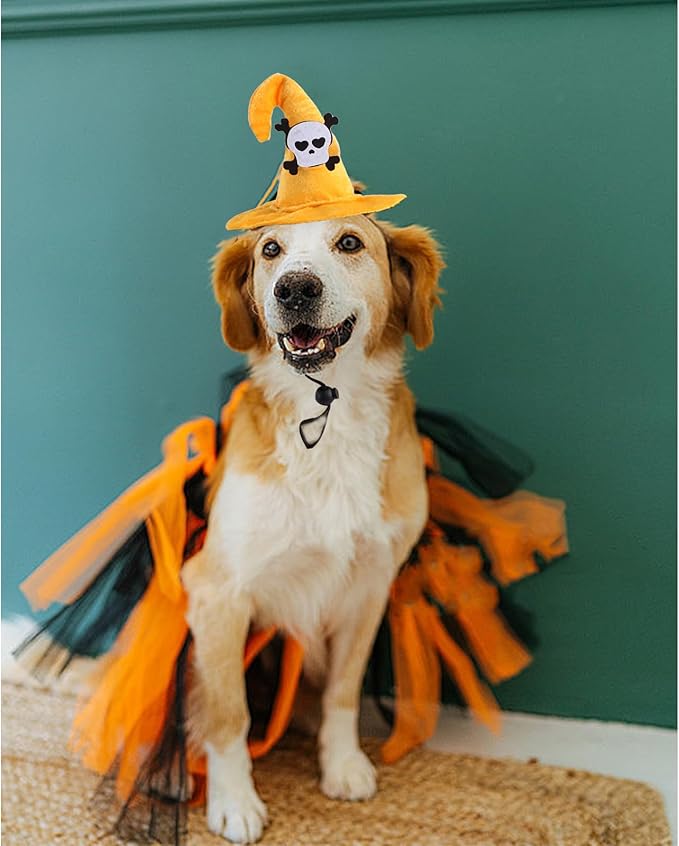 Lionheart glory Halloween Dog Hat Skull Headdress Funny Adjustable Soft Cute Pet Headgear Witch Hat for Dog Cat Dog Party Accessories Costume